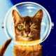 Space Catitude 🚀